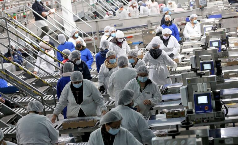 El 59% de los trabajadores chilenos considera estar satisfecho con su empleo actual